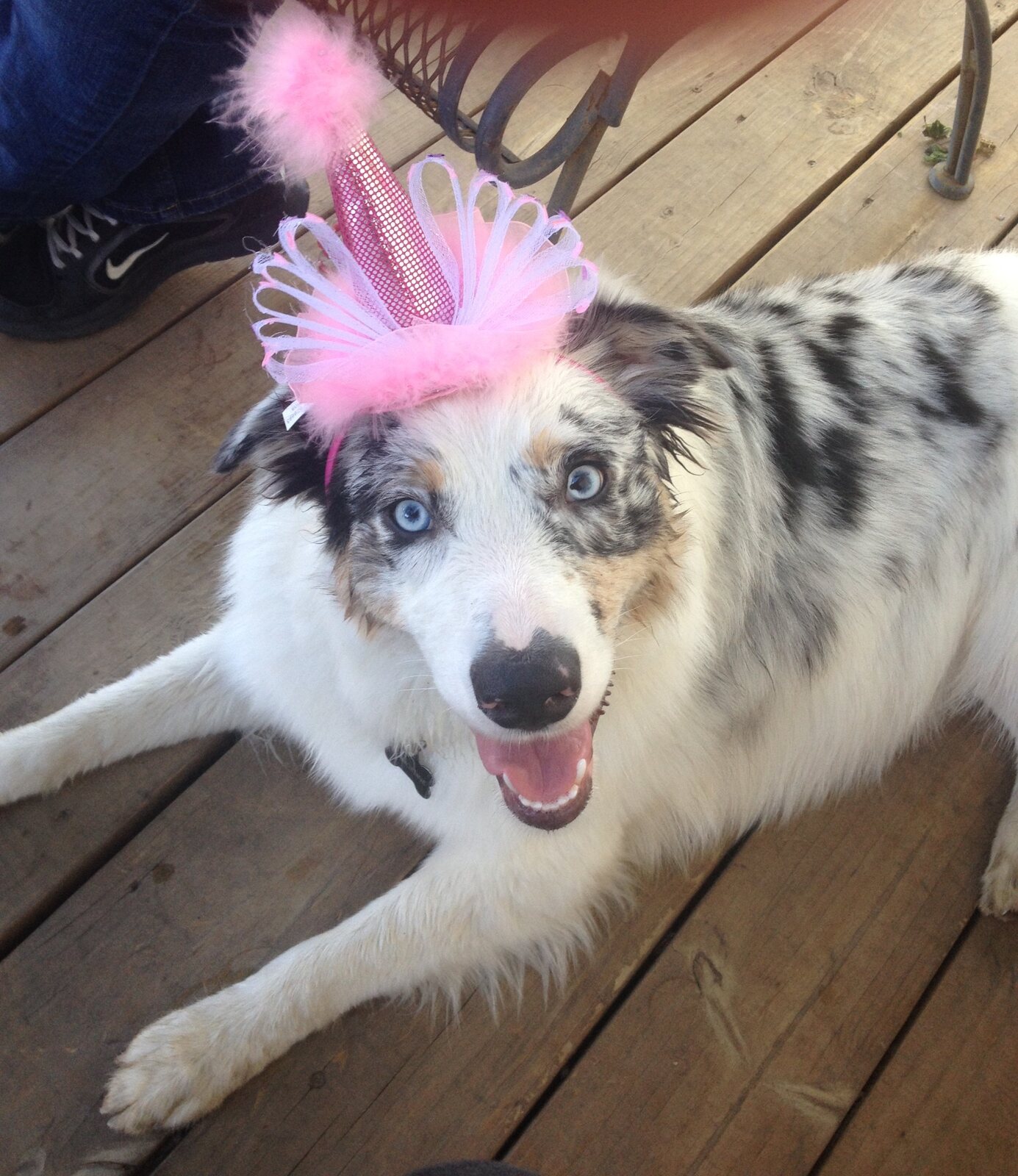 Evangeline wearing a playful pink party hat